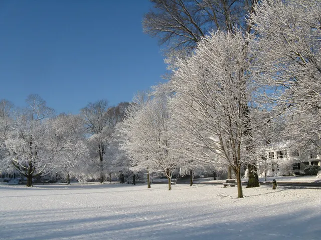 Lexington, Massachusetts